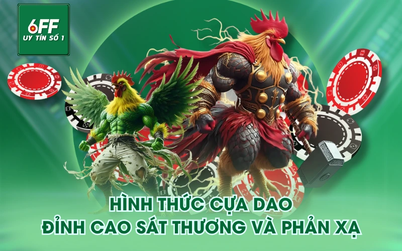 Đá Gà 3 Hình thức cựa dao - Đỉnh cao sát thương và phản xạ