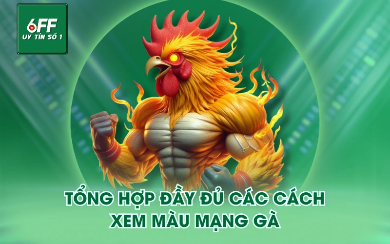 Màu Mạng Gà - Cách Phân Biệt Và Hướng Dẫn Lựa Chọn 4 Tổng hợp đầy đủ các cách xem màu mạng gà