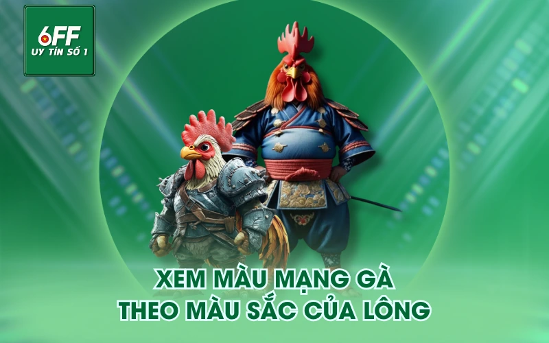 Màu Mạng Gà - Cách Phân Biệt Và Hướng Dẫn Lựa Chọn 5 Xem màu mạng gà theo màu sắc của lông